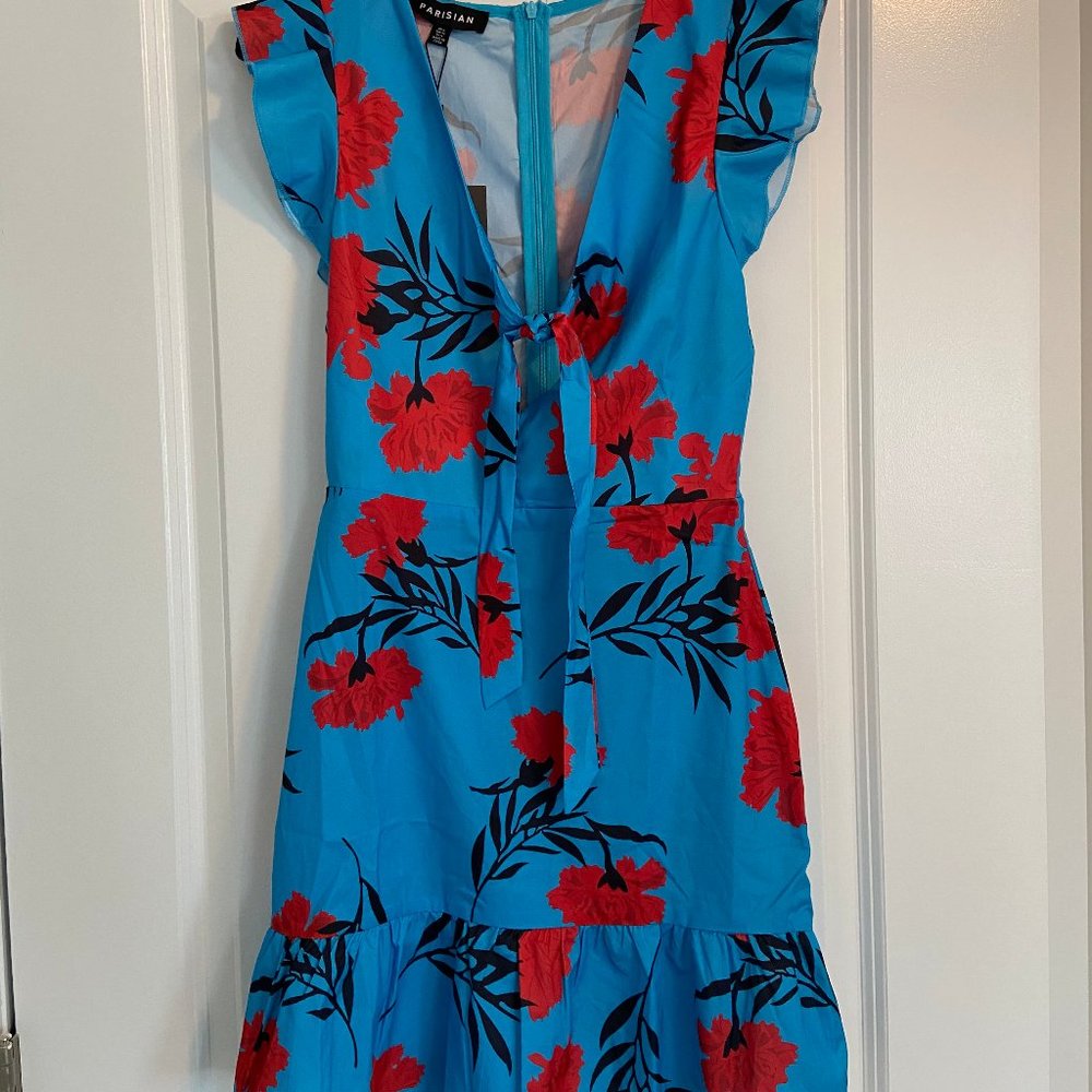 Parisian Blue & Red Dress